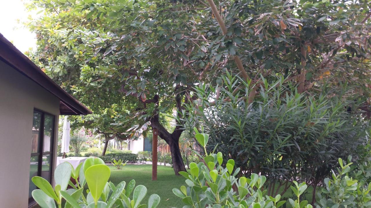 Carneiros Beach Resort Tamandaré Zewnętrze zdjęcie